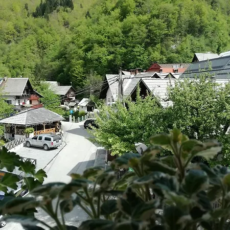 Ivanka Cvetek * Bohinj