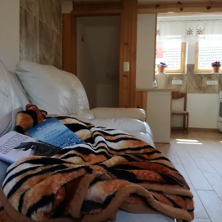 Apartment Ivanka Cvetek *