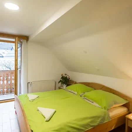 Apartment Apartment Ivanka Cvetek Bohinj