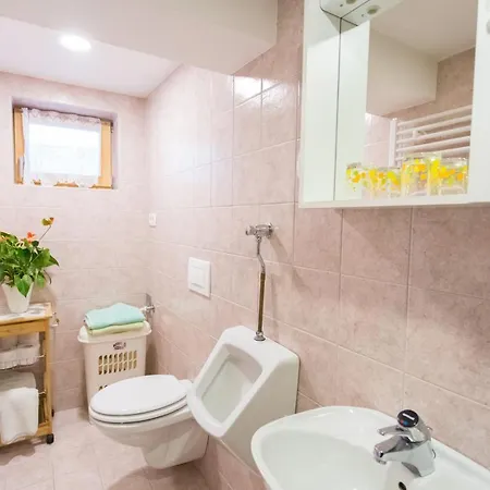 Apartment Ivanka Cvetek Bohinj