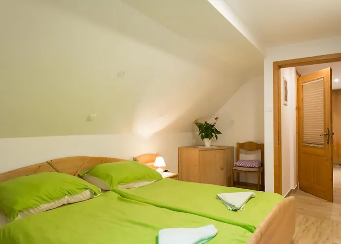 Ivanka Cvetek Appartamento